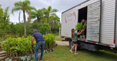 Entrega de plantas nativas no Horto Municipal é mais um passo dado rumo à construção da nova ETE de Bombinhas